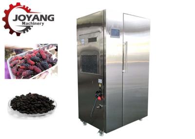 Chine Ventilateur chaud de machine de séchage de mûre de pompe à chaleur pour le fruit à vendre