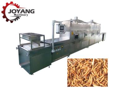 China Black Soldier Fly Larvae Microwave Dehydrator Mealworm Insects Drying Machine for sale