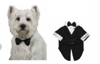 中国 ペット プードルまたはヨークシャ テリアの犬の正装のための贅沢な結婚式の服装 販売のため