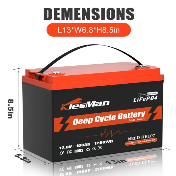 Quality 1000mAh LiFePO4 Rv Battery lithium iron LiFePO4 battery 2000 Cycle Life for sale