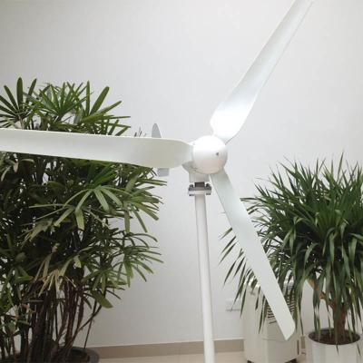 China IP54 Horizontal Shaft Wind Turbine 12V 24V 400W 600W Permanent Magnet Wind Turbine for sale