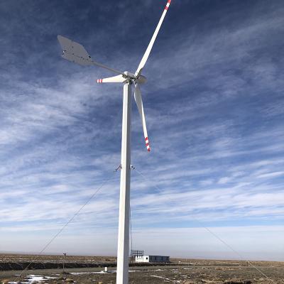 Китай 3 ветротурбина генератора ветротурбины 2KW 3KW 48V 96V 220V премьер-министра постоянного магнита участка продается