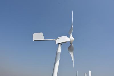 China pequeño molino de viento horizontal horizontal de la turbina de viento de 24V 48V 800W 1000W AXIS en venta