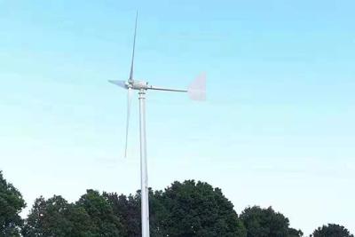 Chine Usine horizontale résidentielle horizontale d'énergie éolienne d'axe de générateur de turbine de vent d'axe de 1KW 48V à vendre