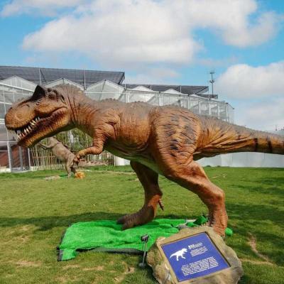 China Lifelike Realistic Dinosaur Models Mechanical Display Giant Animatronic Dinosaur for sale