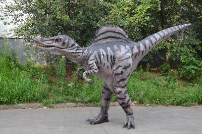 China Traje de vista real escondido Dino T Rex Dinosaur Costume do dinossauro dos pés à venda