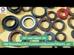 Oil seal repair kit -Boom cyl kit/Bucket cyl kit/Arm cyl kit