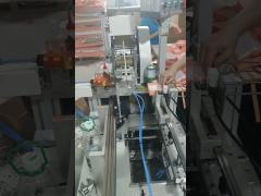 Semi-automatic Ribbon Pasting Machine