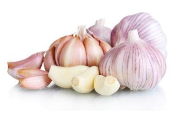 China New Crop Fresh Garlic for sale