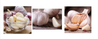 China Thick Bright Skin Normal White Garlic 200g / 250g / 500g / 1000g / Net Bag for sale