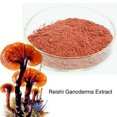 China Reishi extract for sale