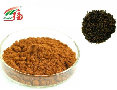 China 20% - 60% Theaflavins Black Tea Extract Powder For Lowering Blood Fat for sale