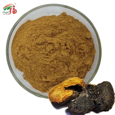 China 20% Polysaccharides Mushroom Extract Powder UV Phellinus Igniarius Extract for sale