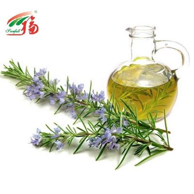 China Herb Rosemary Essential Oil Extract 20% Carnosic Acid For Healthy Products for sale