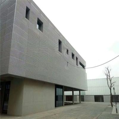 Chine Métal augmenté Mesh Ceiling Panel Welded Frame 3mm profondément 1000x2000mm à vendre