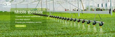 China High Durability Greenhouse Equipment for Sustainable and Environment-Friendly Farming en venta