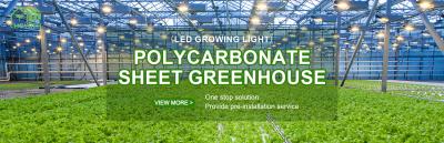 中国 Indoor/Outdoor Greenhouse Fittings Control Climate and Protect Plants Efficiently 販売のため