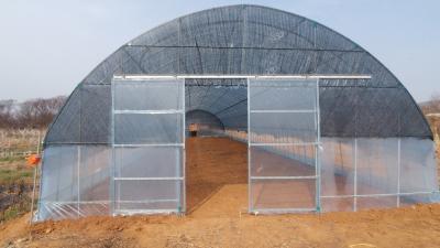 China Easy Installation Greenhouse Benches Modern Customized for Your Growing Needs en venta