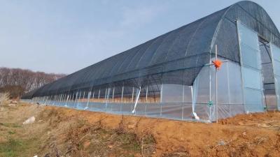 China Walk In Poly Tunnel Greenhouse With HDPE Covering Rainfall 150mm/H for sale