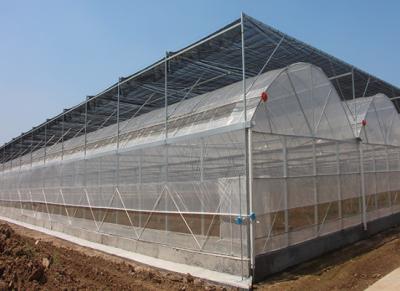 China Four Seasons Plastic Film Greenhouse For Temperature Variations Anti Aging UV Resistant for sale