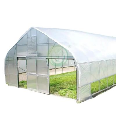 China Plastic Film Tunnel Greenhouse Resists Corrosion Sharp Arch Gothic Greenhouse for sale
