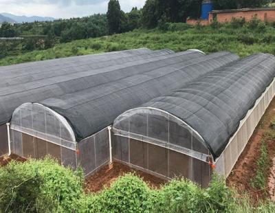 China Aluminum Alloy Tomato Farming Tunnel Greenhouse 8*30m Anodizing for sale