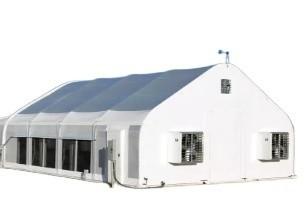 China Span Width 9.6m 10.8m 12m Tunnel Greenhouse For Agriculture for sale