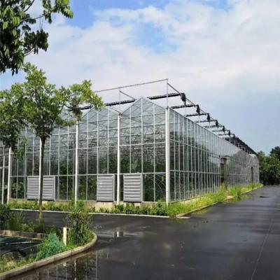 China Hydroponics System Multi Span Glass Greenhouse Aeroponic Tower Garden for sale