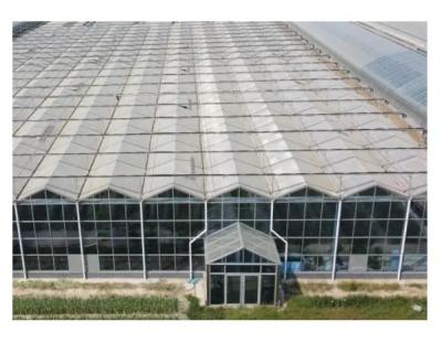 China Temperature Resistance Glass Greenhouse For Agricultural Applications for sale
