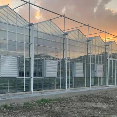 China Hydroponic System Multi Span Glass Greenhouse Commercial Agriculture Vertical Farming for sale