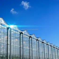 China Rectangular Glass Enclosed Tomato Plant Greenhouse With Wind Resistance for sale