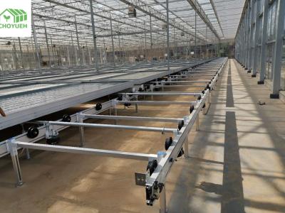 China White Modern Steel Greenhouse Benches Easy Installation 200kgs Capacity for sale