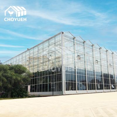 China Venlo Glass Polycarbonate Greenhouse With Seedbed Hydroponic For Tomato Strawberry for sale
