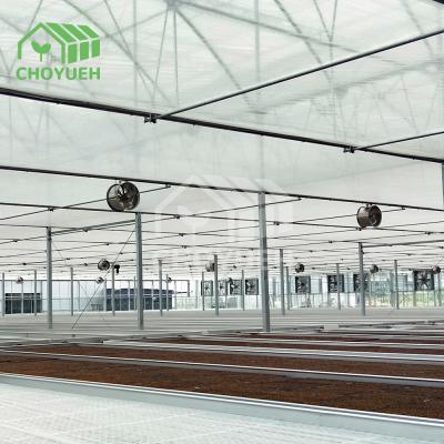 China 8mm All Glass Greenhouse For All Weather Wind Resistance for sale