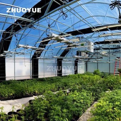 China Advanced Technology Light Deprived Greenhouse for Pest Control for sale