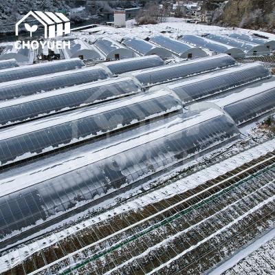 China 4mm Glass Greenhouse Utilizing Solar Heat For Optimal Light Transmission for sale