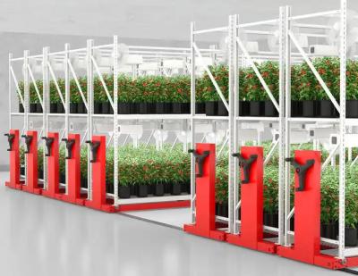China Hydroponic Stackable 4x8 Ebb And Flow Table For Agricultural for sale