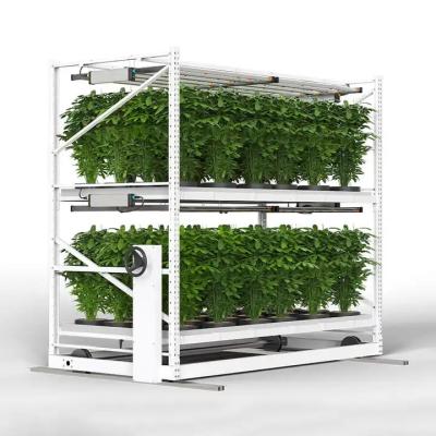 China Construction Irrigation Holding Stands Intelligent Home Hydroponic Lettuce Aquaphonics Growing System for sale