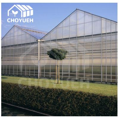China Hoja de policarbonato de protección UV/ invernadero HDG para verduras flores frutas en venta