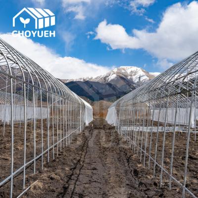 China Galvanized Steel Pipes Poly Film Greenhouse With Accessories for sale