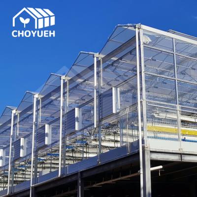 China Roof Ventilation Plant Commercial Glass Greenhouse With Inner Shading System for sale