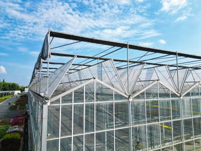 China Kit de invernaderos de vidrio de gran tamaño de múltiples tiradas de extensión de 9,6 m 10,8 m 12 m en venta