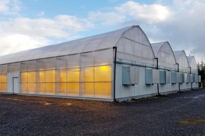 China Pc Sheet Covering High Tunnel Light Dep Hoop House Stable Structure Easily Assembled for sale