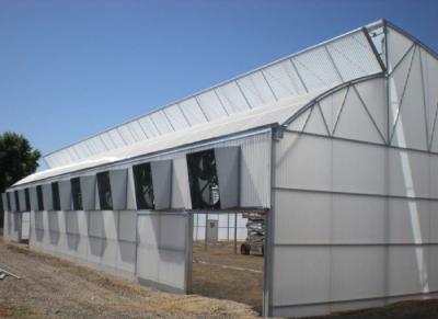China Silver Single Span Separate Stretch Greenhouse OEM ODM for sale