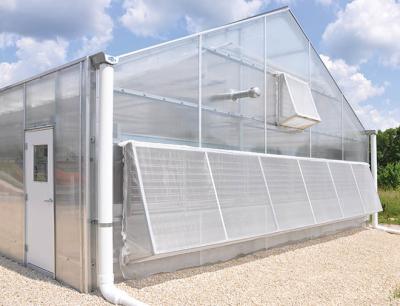 China Tubos de acero galvanizados en caliente Invernadero de privación de luz automática con cortina de apagón en venta