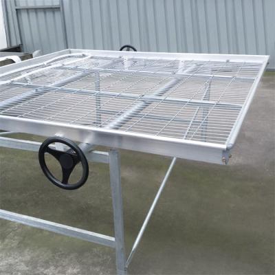 China White Modern Customized Greenhouse Benches 1.2mm with Adjustable Height for sale