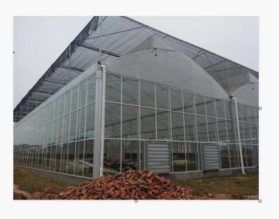 China Invernadero de vidrio transparente rectangular con alta durabilidad en venta