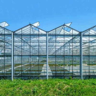 China Water-Resistance Glass Covered Greenhouse for Durable Plant Protection for sale