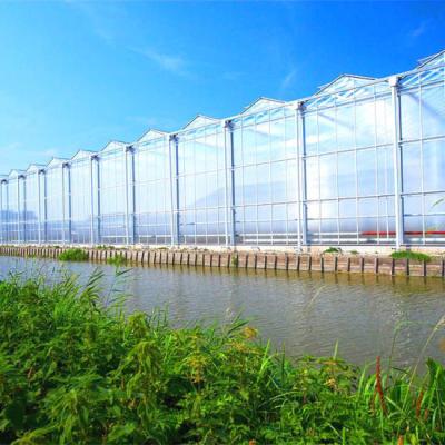 China Optimizar el crecimiento con poco mantenimiento y invernadero de vidrio transparente en venta