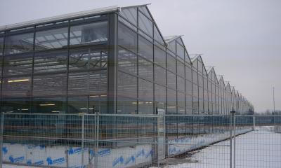 China UV Protection Rectangular Glass Covered Greenhouse Water Resistance for sale
